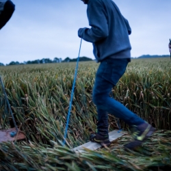 Jugglers Lane Crop Circle on the ground July 2012